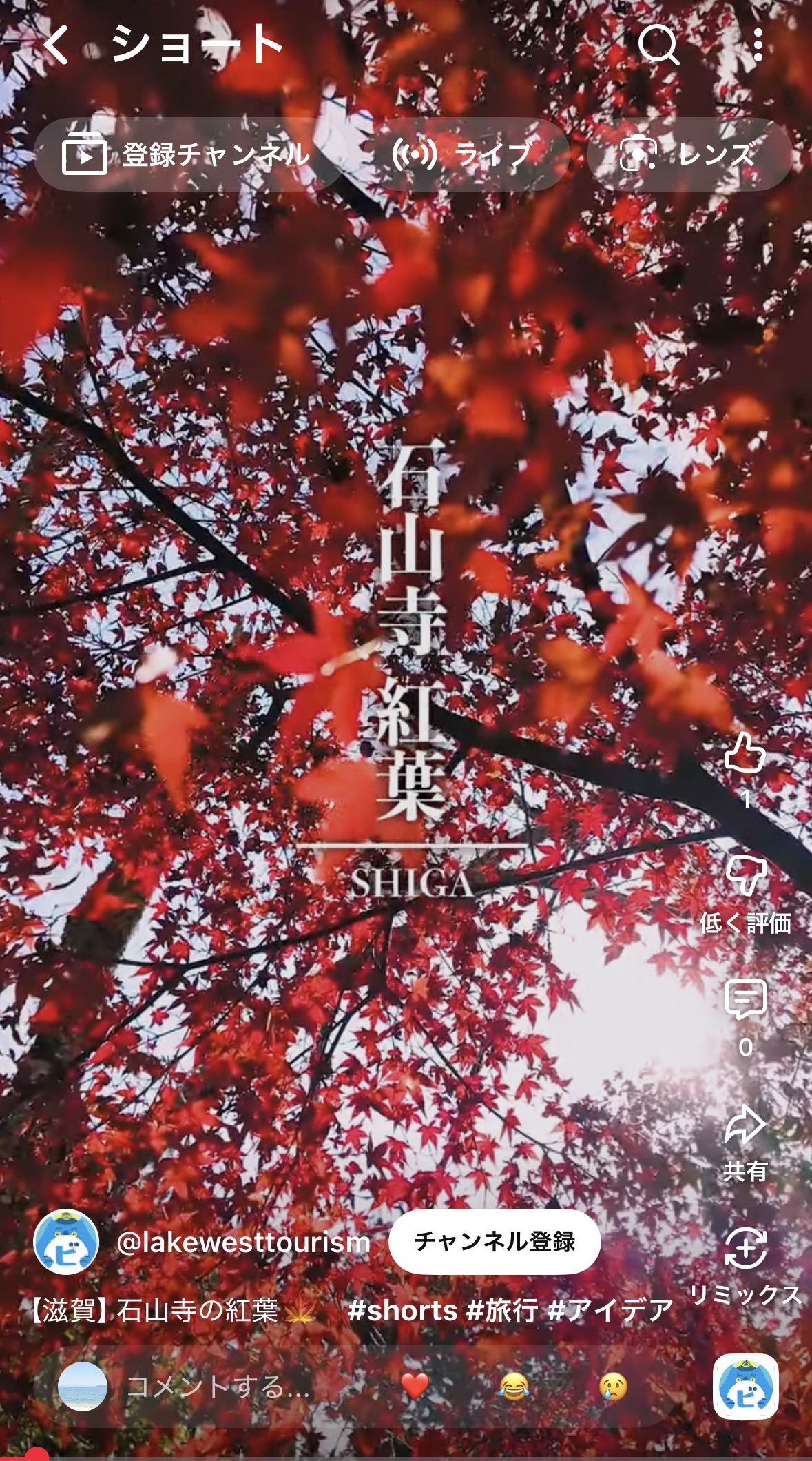 秋の石山寺で心温まる紅葉体験を！